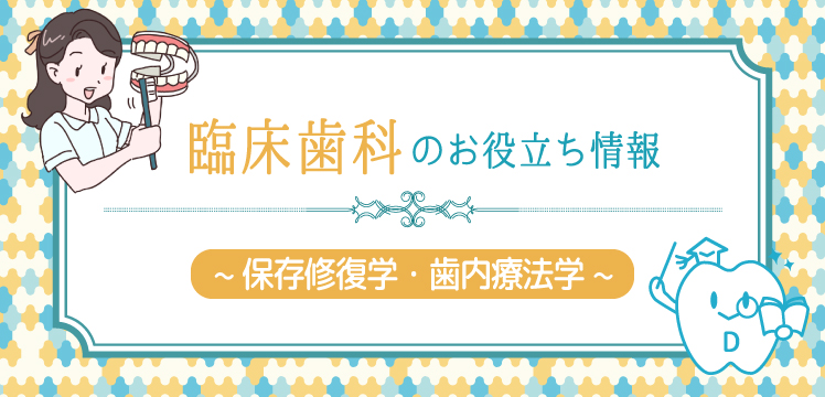 【歯科衛生士お役立ちサプリ】 臨床で役に立つ科目～保存修復学・歯内療法学 | 歯科衛生士求人.com